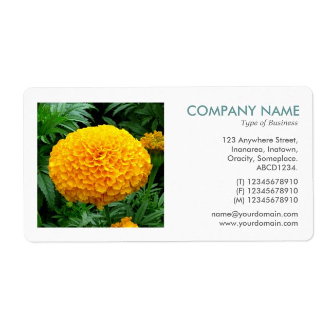 Square Foto - Chrysanthemum (Vorne)