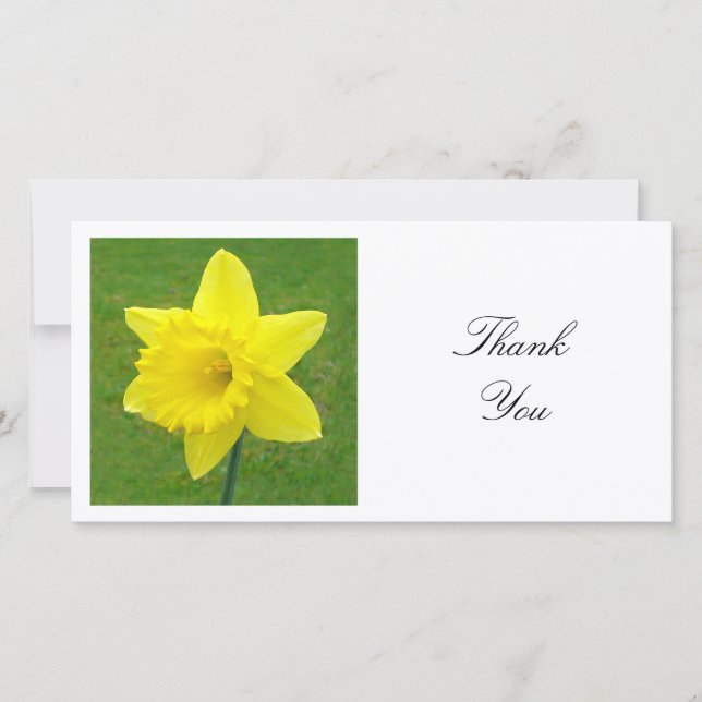 Square Foto - Daffodil Dankeskarte (Vorderseite)