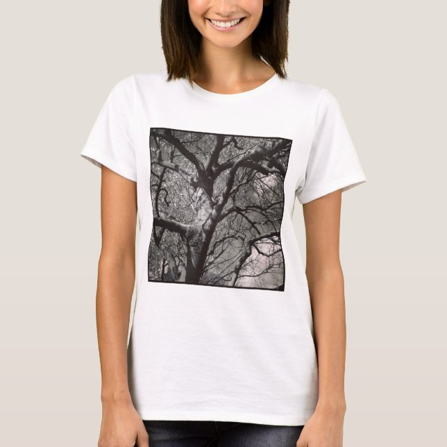 Square Foto - Magnolia Tree im frühen Frühjahr T-Shirt (Vorderseite)