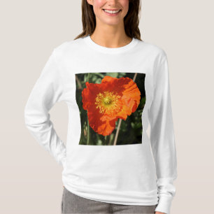 Square Foto - Orange Poppy T-Shirt