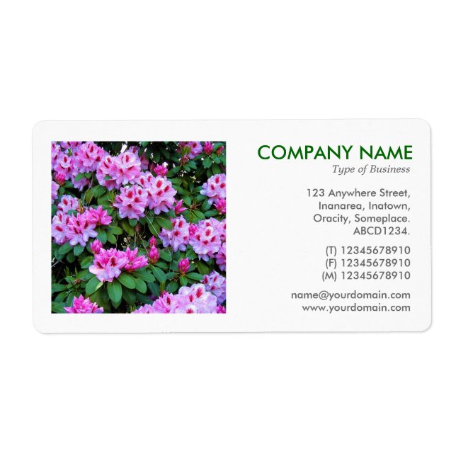 Square Foto - Rhododendren (Vorne)