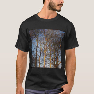 Square Foto - Sunlit Winter Trees T-Shirt