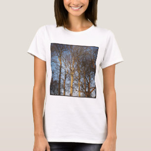 Square Foto - Sunlit Winter Trees T-Shirt