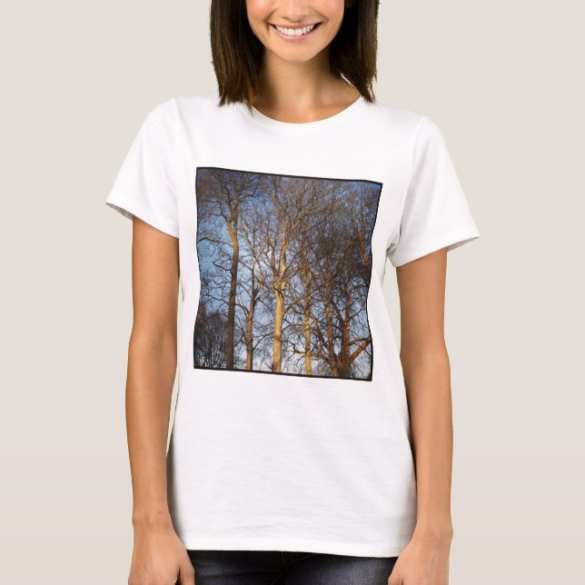 Square Foto - Sunlit Winter Trees T-Shirt (Vorderseite)