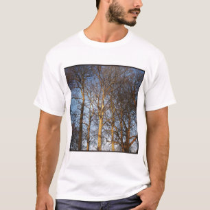 Square Foto - Sunlit Winter Trees T-Shirt
