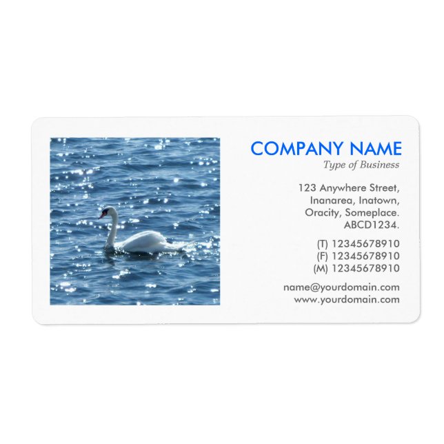 Square Foto - Swan (Vorne)