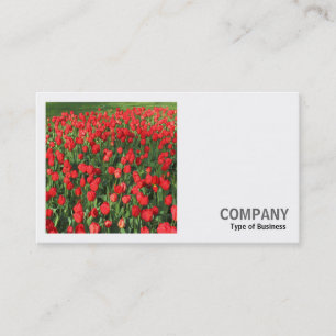 Square Foto (v2) - Bett von Red Tulips 02 Visitenkarte