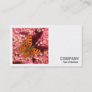 Square Foto (v2) - Comma Butterfly on Sedum Visitenkarte