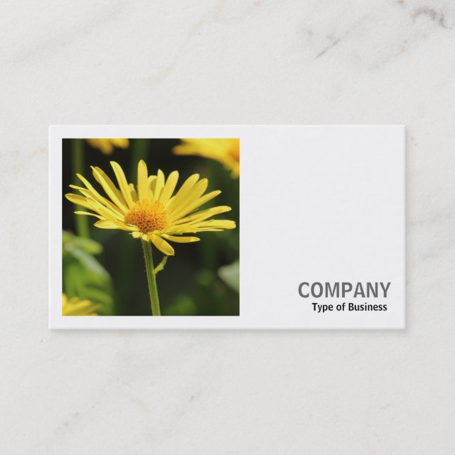 Square Foto (v2) - Gelbe Daisy Visitenkarte (Vorderseite)