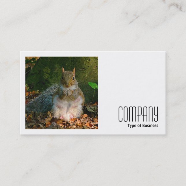 Square Foto (v2) - Graues Eichhörnchen Visitenkarte (Vorderseite)