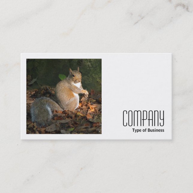 Square Foto (v2) - Graues Eichhörnchen Visitenkarte (Vorderseite)