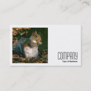 Square Foto (v2) - Graues Eichhörnchen Visitenkarte