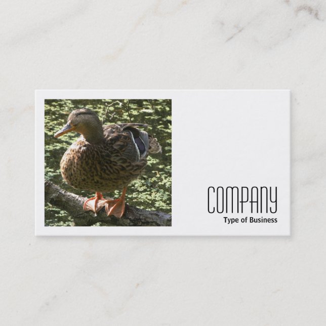 Square Foto (v2) - Happy Duck Visitenkarte (Vorderseite)