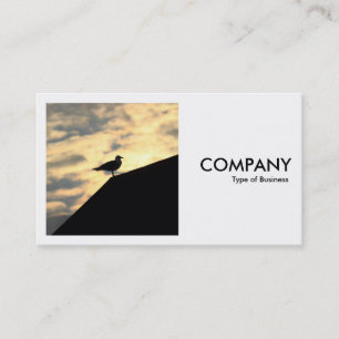 Square Foto (v2) - Hering Gull Sunset Visitenkarte
