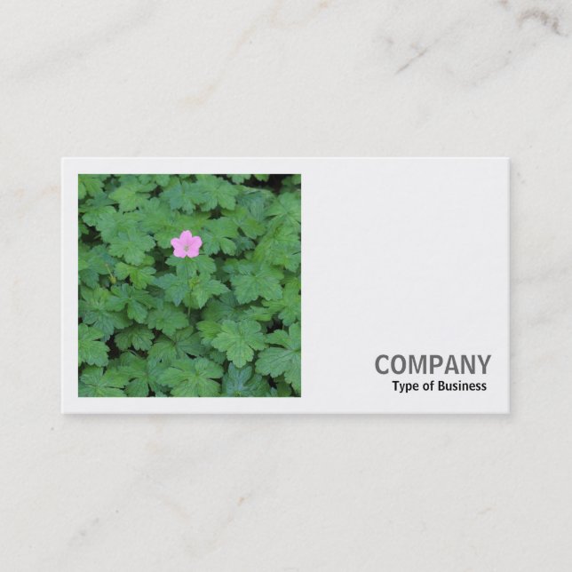 Square Foto (v2) - Lone Geranium Visitenkarte (Vorderseite)