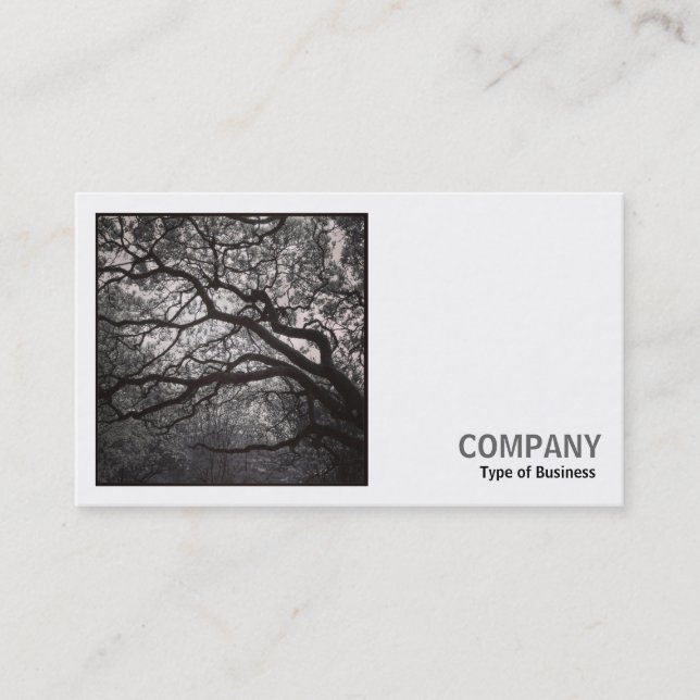 Square Foto (v2) - Magnolia Tree in Blossom 01 Visitenkarte (Vorderseite)