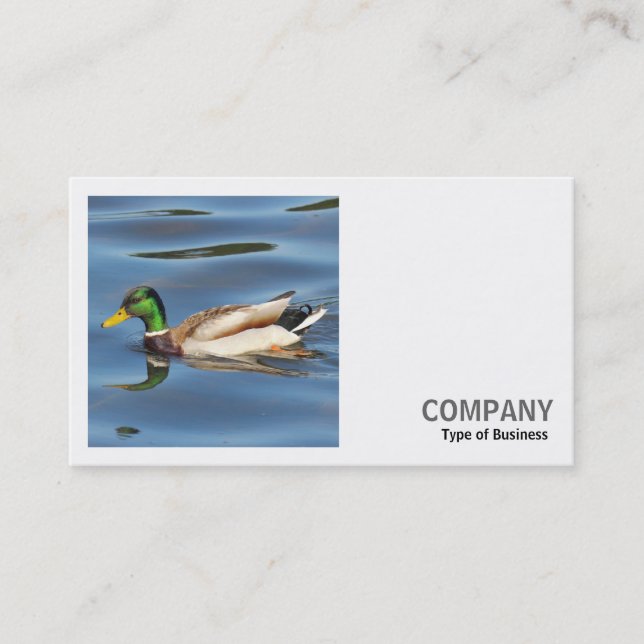Square Foto (v2) - Mallard Duck Visitenkarte (Vorderseite)