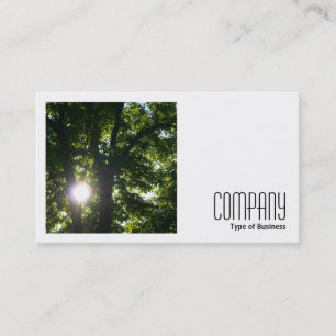 Square Foto (v2) - Sonne durch Bäume Visitenkarte