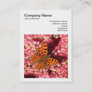 Square Foto (v3) - Comma Butterfly on Sedum Visitenkarte