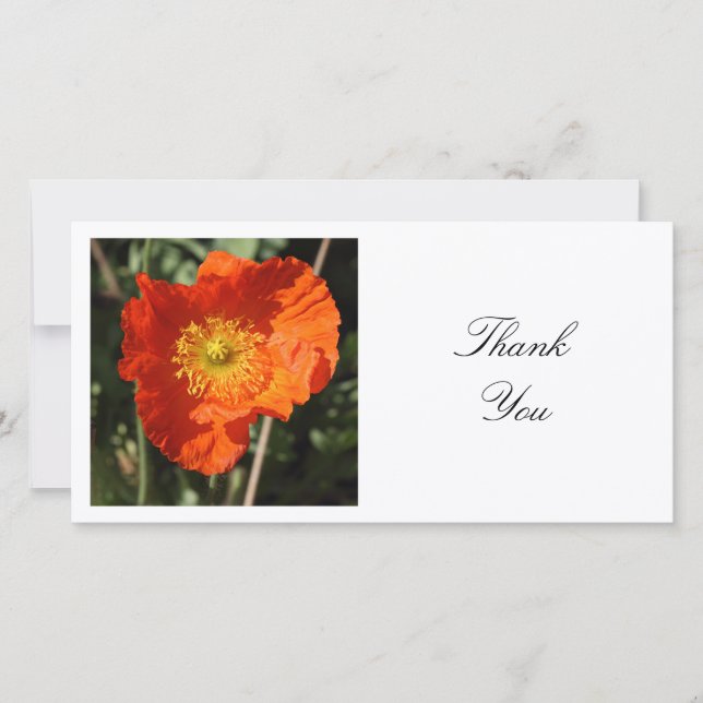 Square Foto - Walisische Mohn Dankeskarte (Vorderseite)