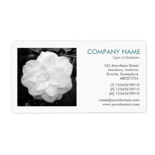 Square Foto - White Camelia