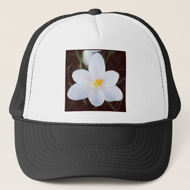 Square Foto - White Crocus Truckerkappe (Vorderseite)