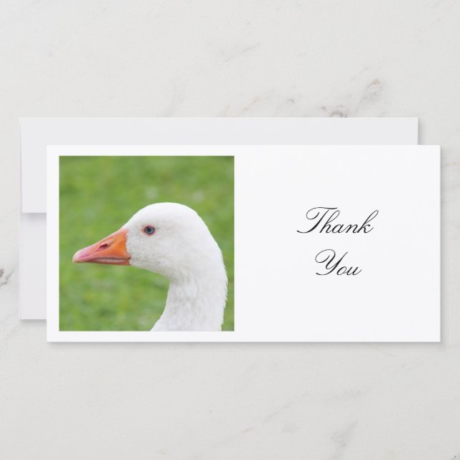 Square Foto - White Goose Dankeskarte (Vorderseite)