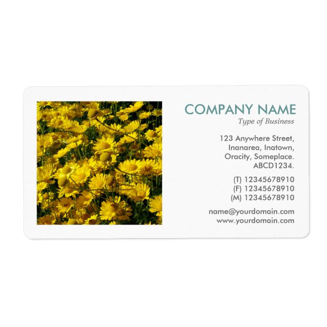 Square Foto - Yellow Daisies (Vorne)