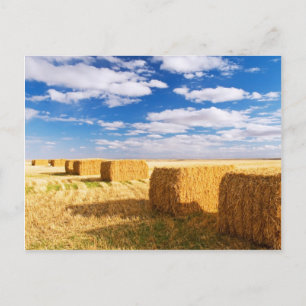 Square Hay Bales Postkarte
