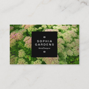 Square Label 01a - Sedum Herbstfreude Visitenkarte