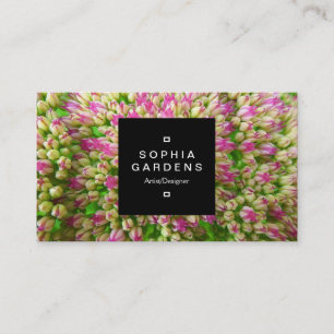 Square Label 01a - Sedum Herbstfreude Visitenkarte