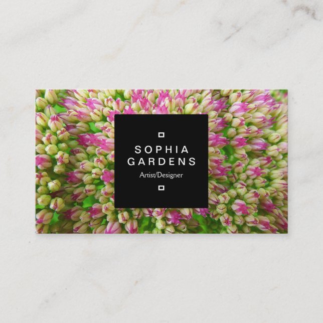 Square Label 01a - Sedum Herbstfreude Visitenkarte (Vorderseite)