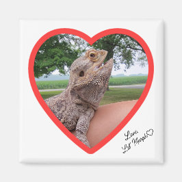 Square Lizard Liebe Magnet