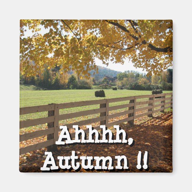 Square Magnet (Vorne)