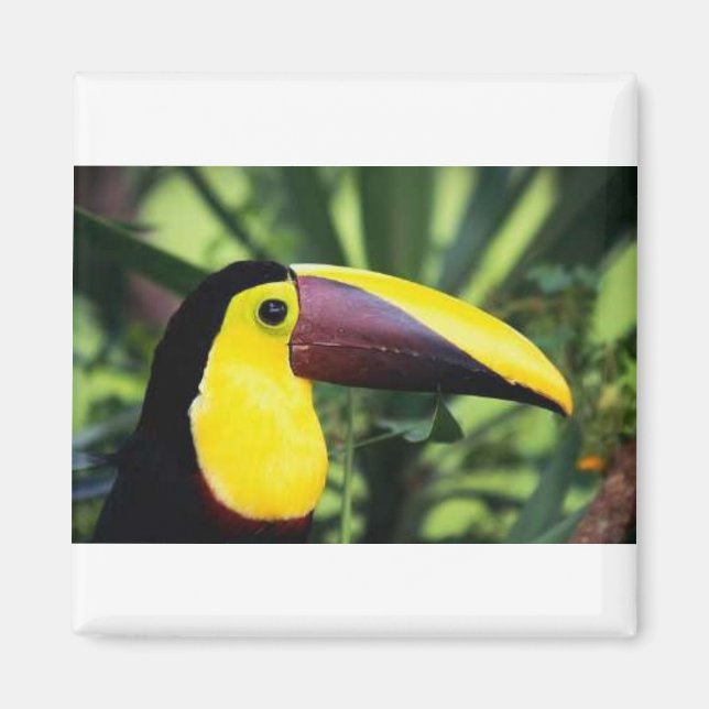 Square Magnet (Vorne)