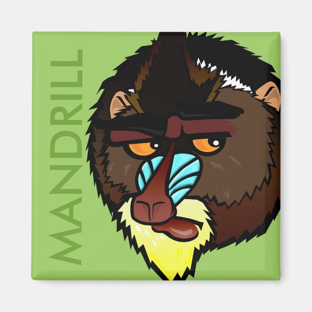 SQUARE MANDRILL MAGNET (Vorne)