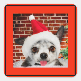 SQUARE STICKER CHIHUAHUA IN Weihnachtsmannmütze