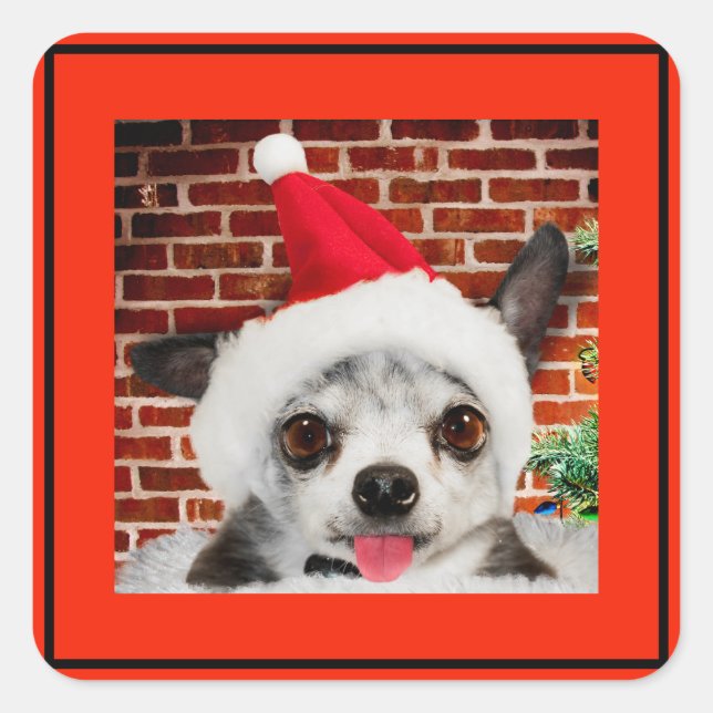SQUARE STICKER CHIHUAHUA IN Weihnachtsmannmütze (Vorderseite)