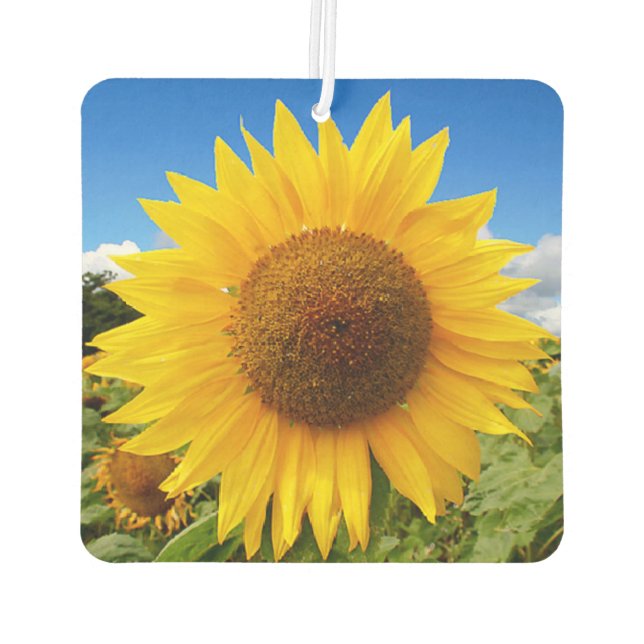 Square Sunflower Air Freshener Autolufterfrischer (Rückseite)