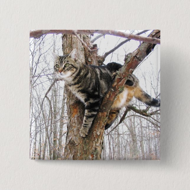 Square Tabby Cat Button (Vorderseite)