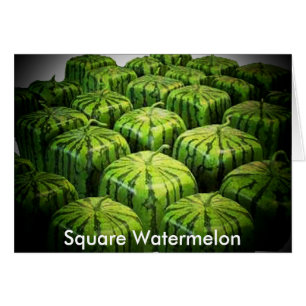 Square Watermelon