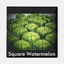 Square Watermelon Magnet