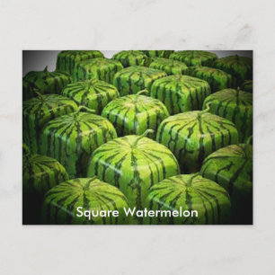 Square Watermelon Postkarte