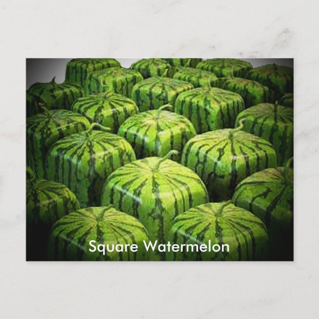 Square Watermelon Postkarte (Vorderseite)