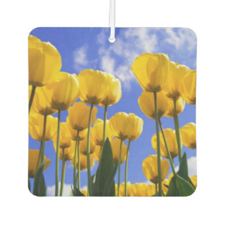 Square Yellow Tulips Air Freshener Autolufterfrischer