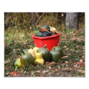 Squash Country Garden Harvest Orton Art 8x10 Fotodruck