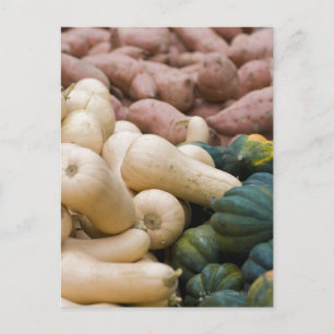 Squash und Süßkartoffeln Postkarte