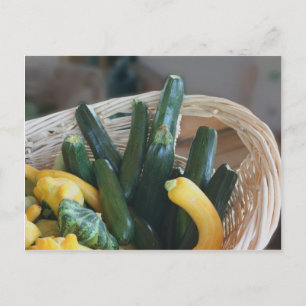 Squash- und Zucchini-Natur Postkarte
