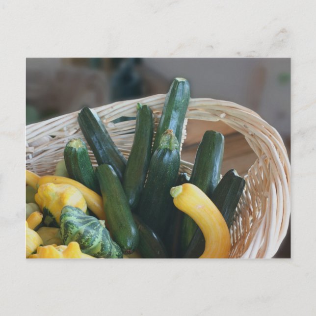 Squash- und Zucchini-Natur Postkarte (Vorderseite)