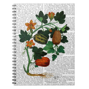 Squash Vine 1 Notizblock